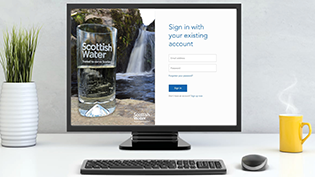 Development Services Portal