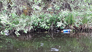 Sustainability and Climate Change position on plastic