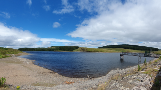 Reservoir scene