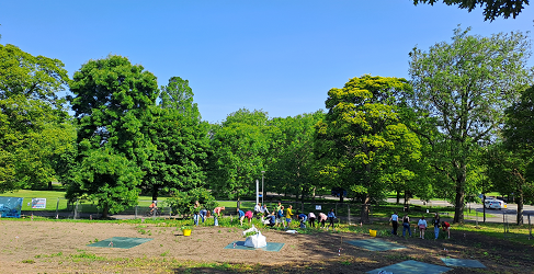 School pupils are shown working to prepare the meadow site