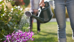 water efficiency