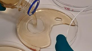 Close up of petri dish with liquid in it