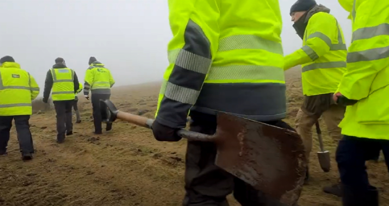 Team planting trees