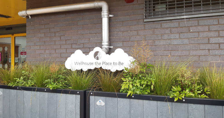 Rain garden at Wellhouse