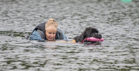 Newfoundland Dog Water Rescue Demonstration