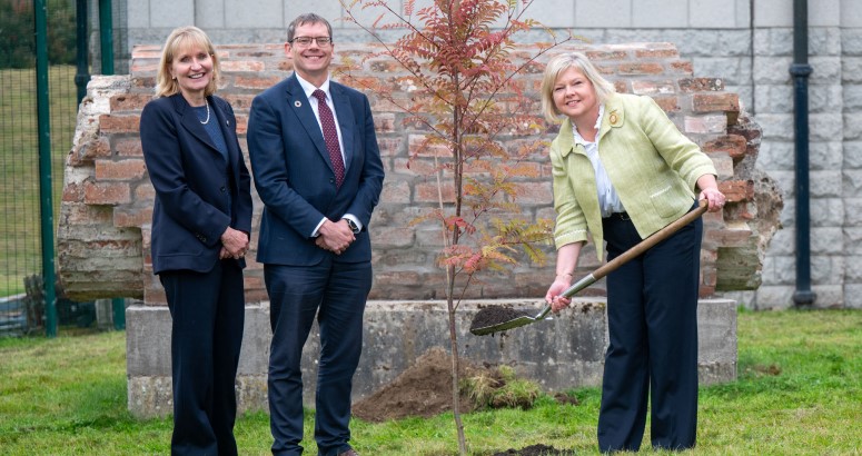 Three people smiling after planting a tree in the green grass infront of concrete building