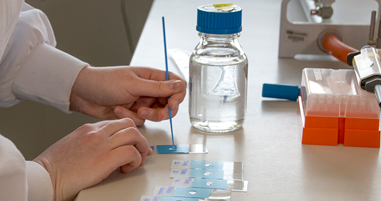 Working in Lab
