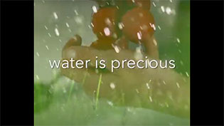 Water Saving Tips