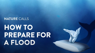 How to Prepare for a Flood